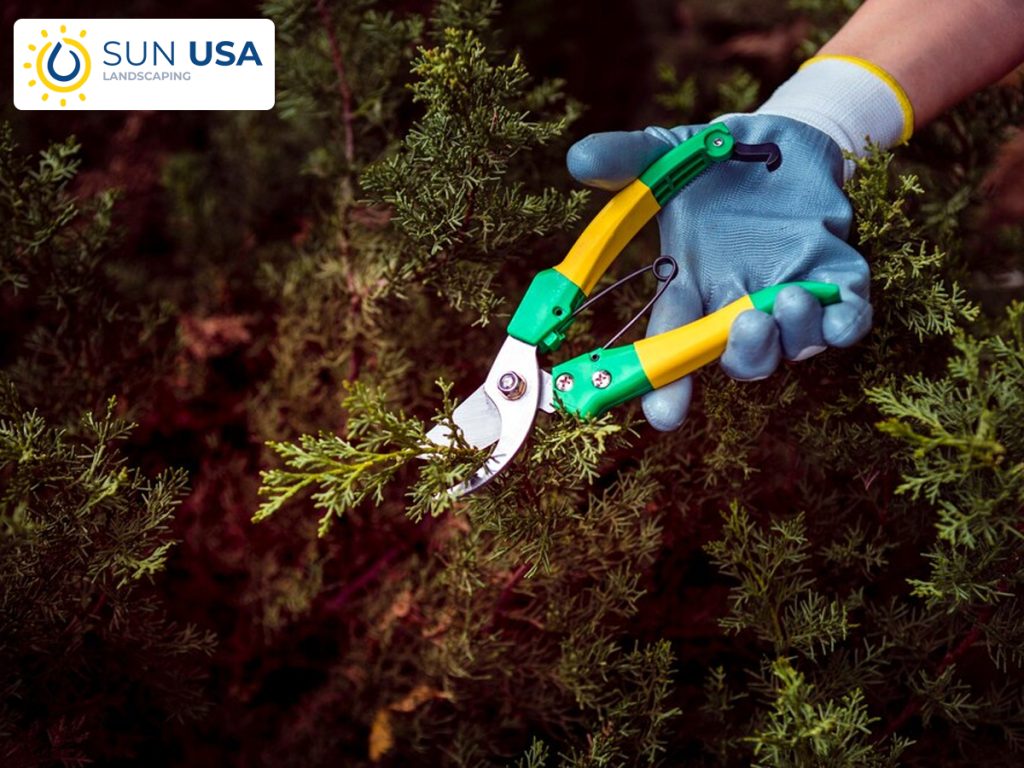 Residential Landscaping Philadelphia